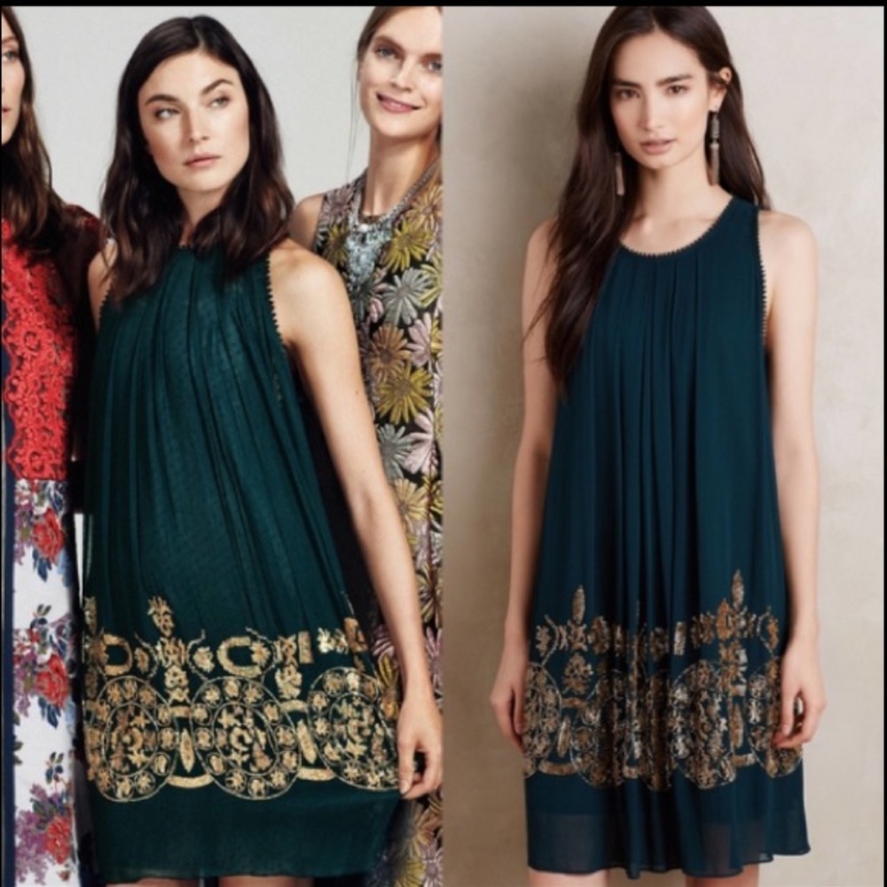 Anthropologie Brenta swing dress 10P pallavi mohan